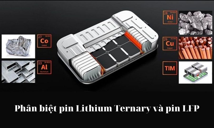 Pin Lithium Ternary và Pin LFP