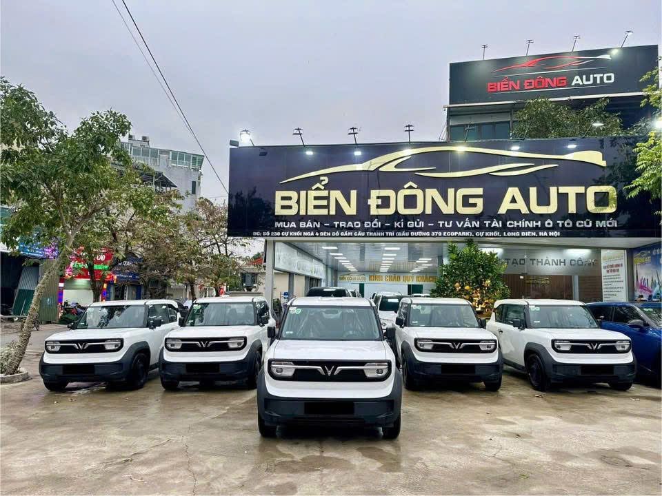 Bán VinFast VF3 New 2025 – Chỉ 255 triệu, bao ra biển