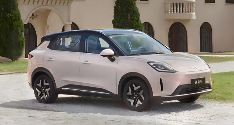 Wuling Binguo S