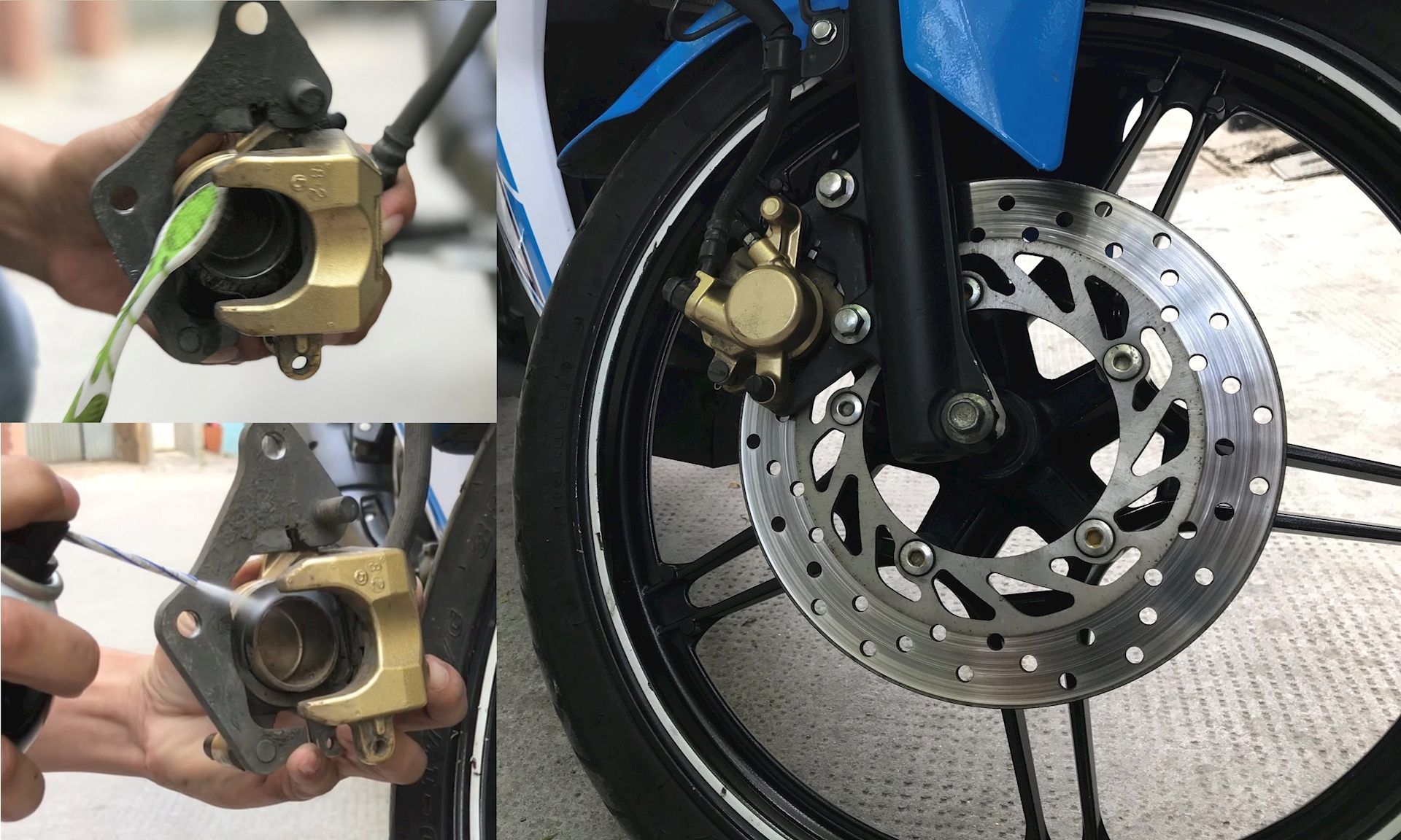 Kiểm tra heo và bố thắng