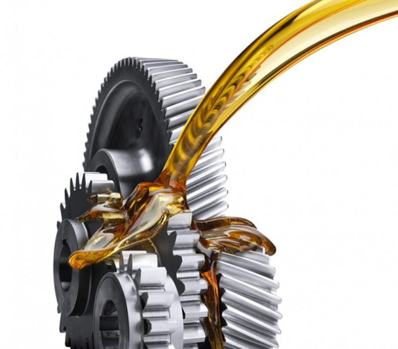 Kiểm tra nhớt xe khi đi tour